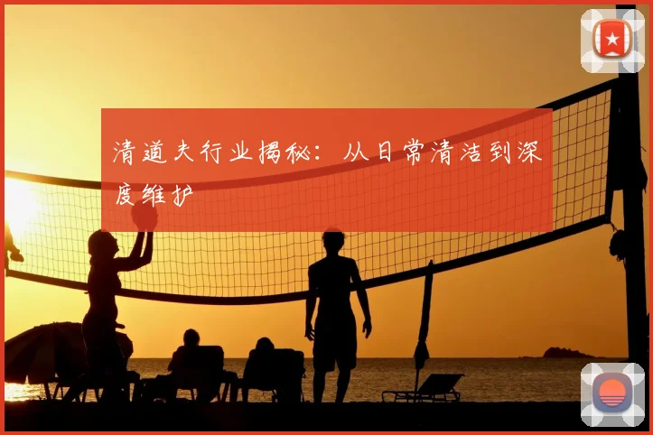 清道夫行业揭秘:从日常清洁到深度维护