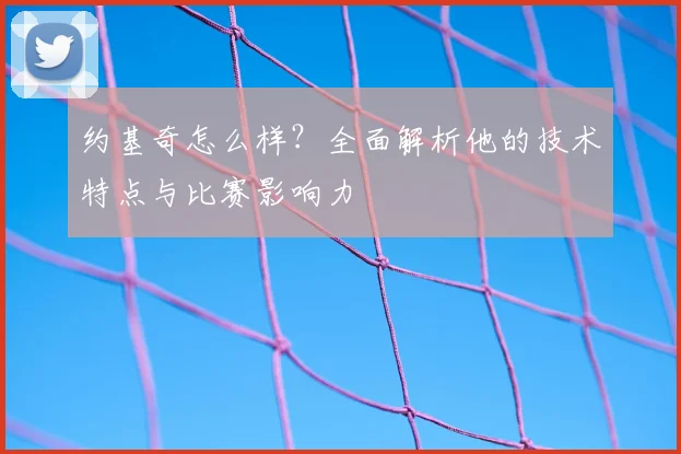 约基奇怎么样?全面解析他的技术特点与比赛影响力