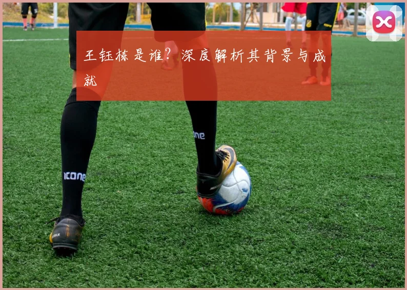 王钰栋是谁？深度解析其背景与成就